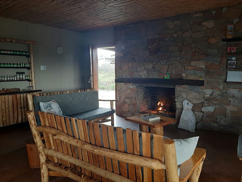 Meerkat's lounge with log walls and a stone fireplace