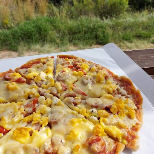 A thin-based sourdough pizza on the railing, veld behind